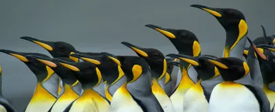 it’s finally sinking in