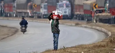 black plague  low production  lockdown  kashmir apple trade takes a hit