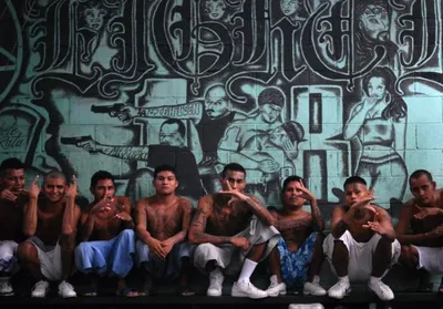 what lies behind central america s gang violence