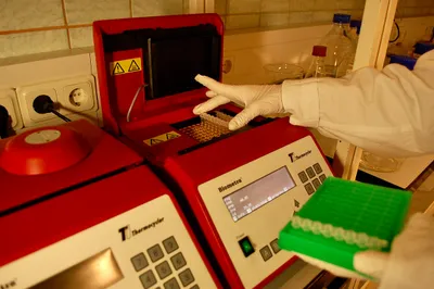 four reasons it s hard to believe india doesn t have community transmission