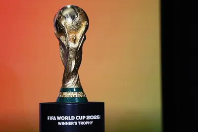 indians can watch fifa world cup on zee