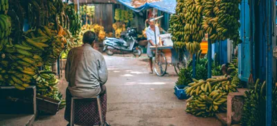 the old deal  bjp s answer to covid 19 is more privatisation