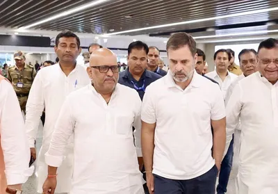 interview    national leadership will decide on alliance but up congress is focusing on all 403 seats 