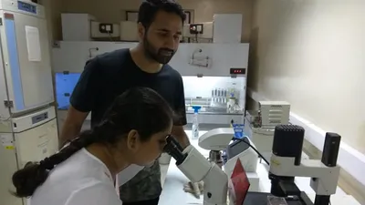 scientists decipher how japanese encephalitis virus enters brain cells