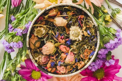 why amendments to india’s biodiversity act need a public debate