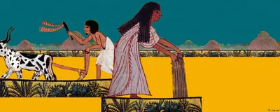 the agricultural revolution  an alternate telling