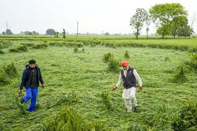 foodgrain production target set by govt for 2026 27 is less than last year s actual output