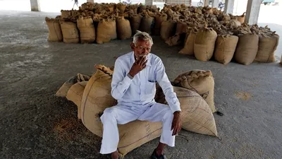 msp denial could cost farmers rs 14 000 crore in rabi season alone