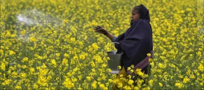 farm loan waivers and corporate defaulters are two sides of the same coin