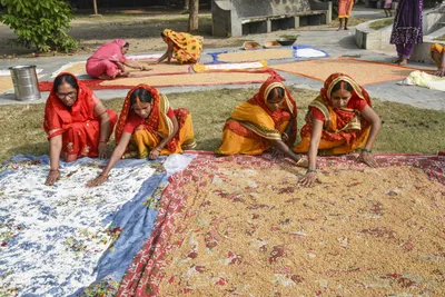 deleted by design  the institutional disenfranchisement of women in bihar