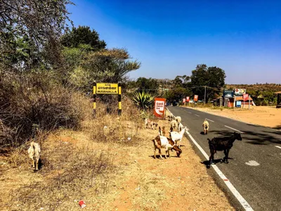 do protected areas deny forest rights 