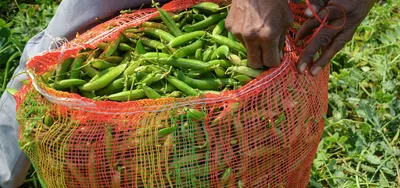 centre s allocation to rural economy paints a nuanced picture of its commitment