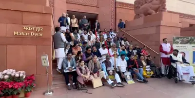 mps  job is to ask for accountability  shutting them down is no answer 