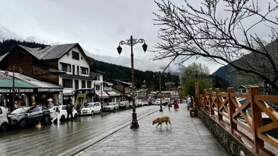  under an invisible lock   in post pahalgam kashmir  locals live and survive silently
