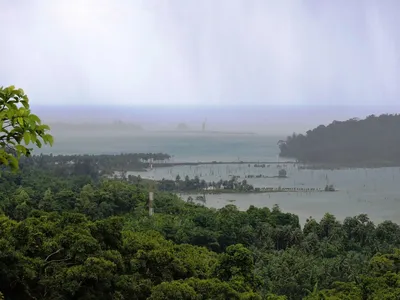 more questions arise over great nicobar island projects  congress wants  thorough impartial review 