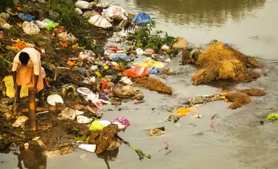 a  doctor  for ganesh idols