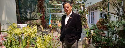 modi sarkar  not sdf  failed the limboo tamang community of sikkim  p d  rai