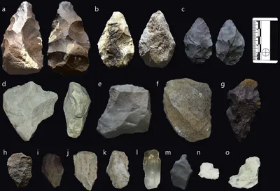 in kachchh  evidence that modern humans came to south asia 114 000 years ago