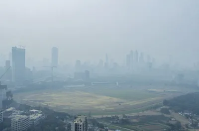 citizen groups urge caqm to take year round action on delhi air