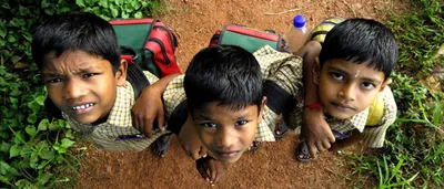 language policy  education in english must not be the prerogative of only the elites