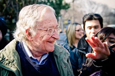 noam chomsky and the left  allies or strange bedfellows 