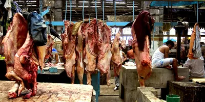 study finds antibiotic resistance gene in fresh food samples