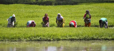 centre s economic package addresses long term issues  not immediate concerns of farmers