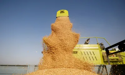 watch   ground report  climate change and unkept promises are crushing india’s farmers