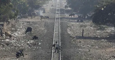 how successful has the railways been in implementing its 100 day action plan 