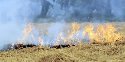 the smog that hides a bonanza