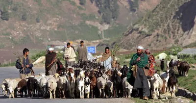 j k  how the bjp u turned on tribal empowerment after article 370 was read down